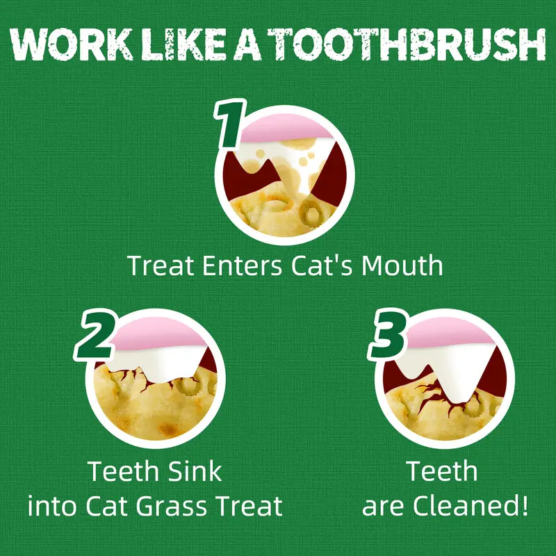 JUST TRY Feline Grass Treats Salmon Flavor Hairball Control Support, Crunchy Snacks, Cat Grass Treats for Indoor Cats 14.1 OZ #Sohochic