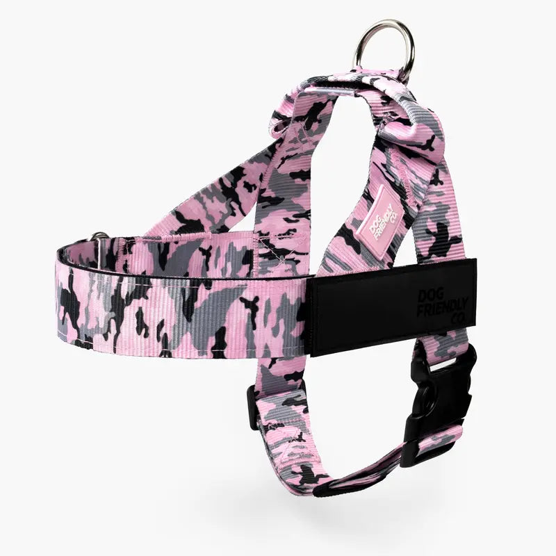 Dog Friendly Co. No-Pull Dog Walking Harness - Choke-Free Design, Padded Comfortable, 1-Click Simple Clip Buckle, Grab-Handle Ease, Chafe-Resistant Adjustable Straps, Lightweight, All-Day Wear, Secure Walks, Multi-Size XXS-XL