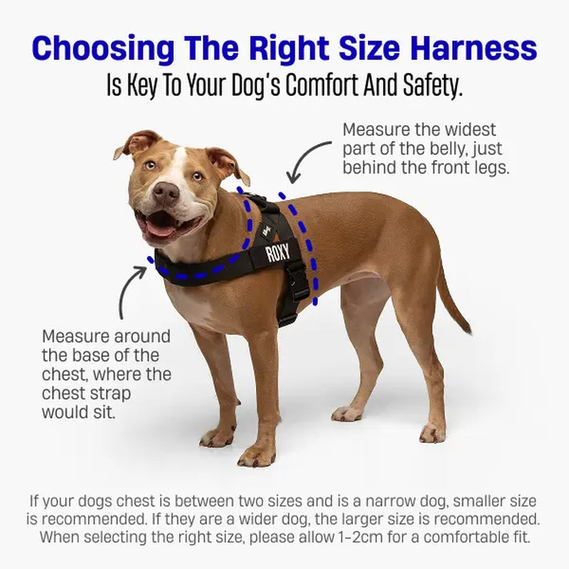 Dog Friendly Co. No-Pull Dog Walking Harness - Choke-Free Design, Padded Comfortable, 1-Click Simple Clip Buckle, Grab-Handle Ease, Chafe-Resistant Adjustable Straps, Lightweight, All-Day Wear, Secure Walks, Multi-Size XXS-XL