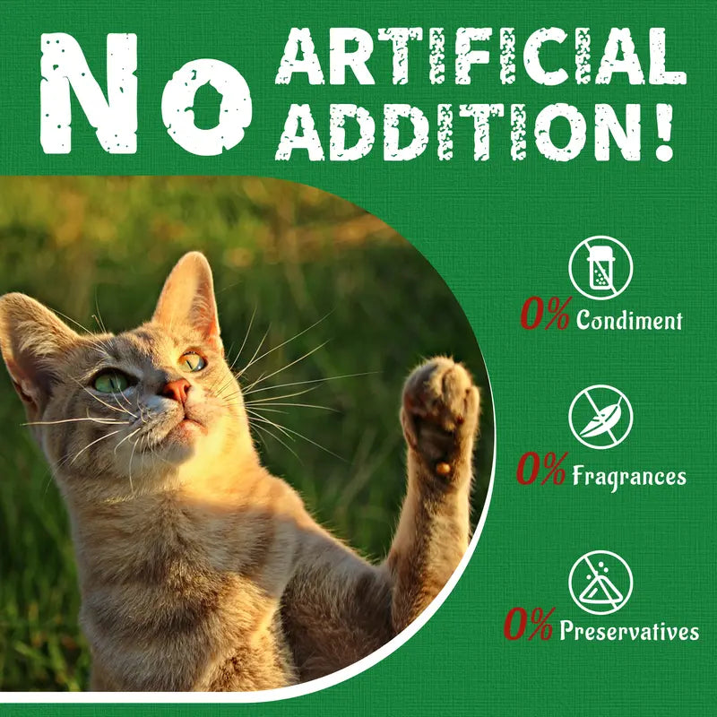 JUST TRY Feline Grass Treats Salmon Flavor Hairball Control Support, Crunchy Snacks, Cat Grass Treats for Indoor Cats 14.1 OZ #Sohochic