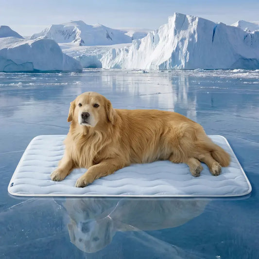 Bedsure Cooling Dog Thin Mat - Breathable & Stay Cool, Non-Slip & Easy to Clean