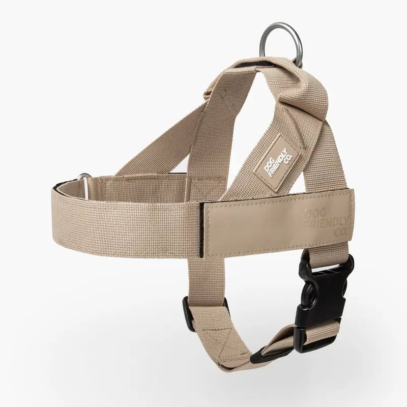 Dog Friendly Co. No-Pull Dog Walking Harness - Choke-Free Design, Padded Comfortable, 1-Click Simple Clip Buckle, Grab-Handle Ease, Chafe-Resistant Adjustable Straps, Lightweight, All-Day Wear, Secure Walks, Multi-Size XXS-XL
