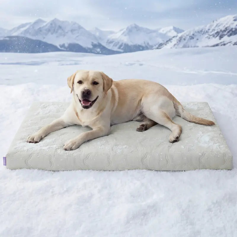 Bedsure Cooling Dog Thin Mat - Breathable & Stay Cool, Non-Slip & Easy to Clean