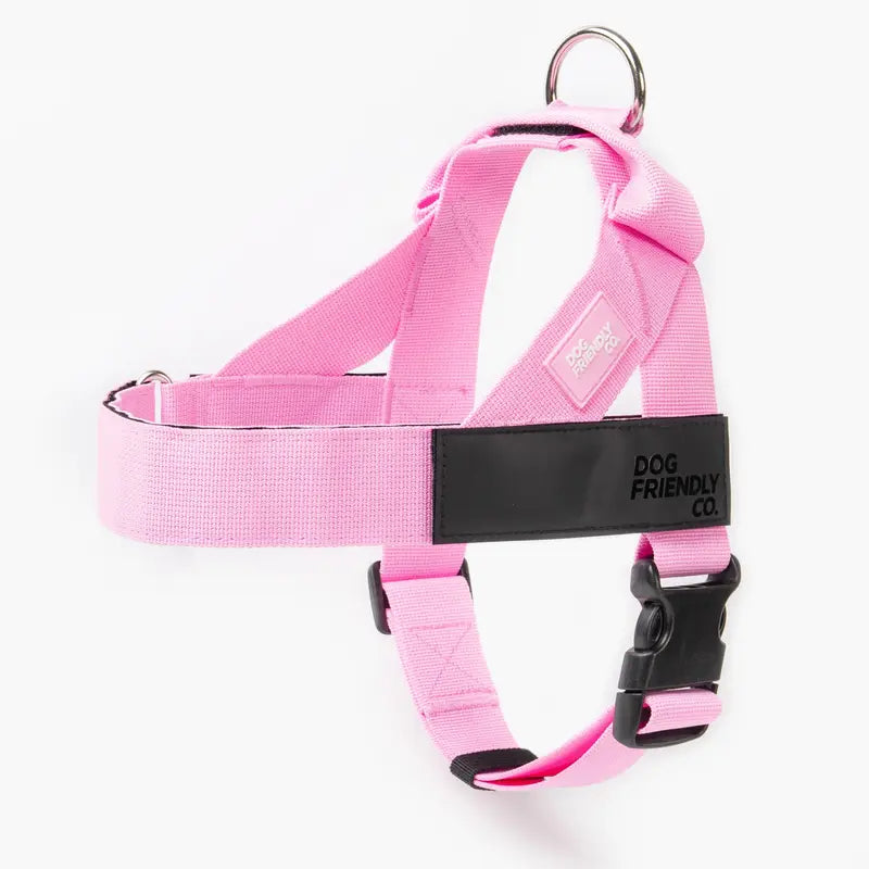 Dog Friendly Co. No-Pull Dog Walking Harness - Choke-Free Design, Padded Comfortable, 1-Click Simple Clip Buckle, Grab-Handle Ease, Chafe-Resistant Adjustable Straps, Lightweight, All-Day Wear, Secure Walks, Multi-Size XXS-XL