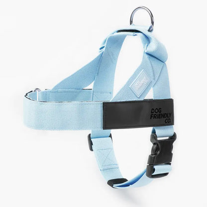 Dog Friendly Co. No-Pull Dog Walking Harness - Choke-Free Design, Padded Comfortable, 1-Click Simple Clip Buckle, Grab-Handle Ease, Chafe-Resistant Adjustable Straps, Lightweight, All-Day Wear, Secure Walks, Multi-Size XXS-XL