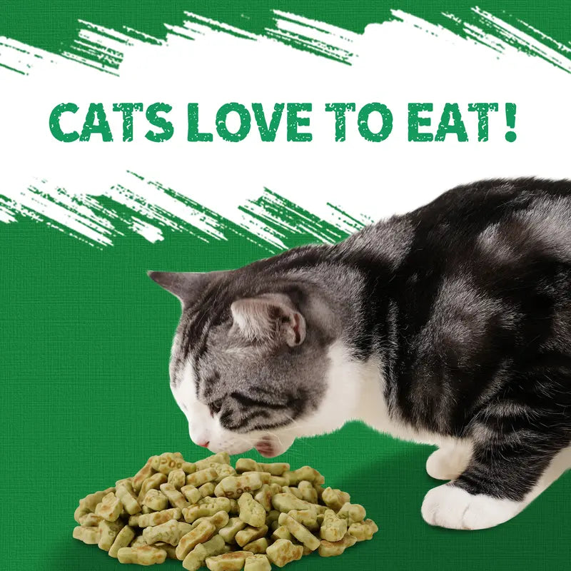 JUST TRY Feline Grass Treats Salmon Flavor Hairball Control Support, Crunchy Snacks, Cat Grass Treats for Indoor Cats 14.1 OZ #Sohochic