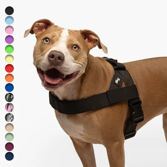 Dog Friendly Co. No-Pull Dog Walking Harness - Choke-Free Design, Padded Comfortable, 1-Click Simple Clip Buckle, Grab-Handle Ease, Chafe-Resistant Adjustable Straps, Lightweight, All-Day Wear, Secure Walks, Multi-Size XXS-XL
