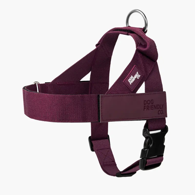 Dog Friendly Co. No-Pull Dog Walking Harness - Choke-Free Design, Padded Comfortable, 1-Click Simple Clip Buckle, Grab-Handle Ease, Chafe-Resistant Adjustable Straps, Lightweight, All-Day Wear, Secure Walks, Multi-Size XXS-XL