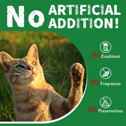 JUST TRY Feline Grass Treats Salmon Flavor Hairball Control Support, Crunchy Snacks, Cat Grass Treats for Indoor Cats 14.1 OZ #Sohochic